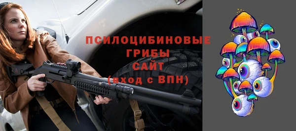 амф Ладушкин