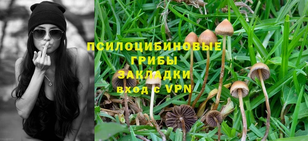 амф Ладушкин