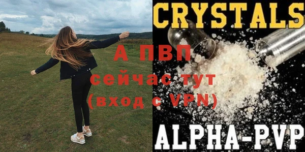 соль ск Лабытнанги