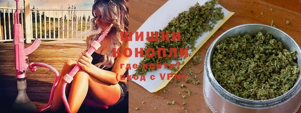 apvp Лагань