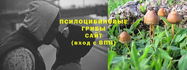 соль ск Лабытнанги