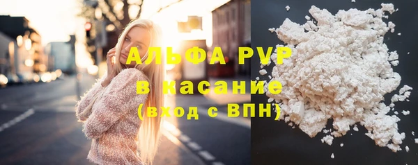 амф Ладушкин